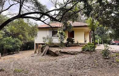 Imagem 11: Propriedade Rural com produção de Uvas e uma casa de Mista