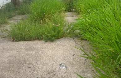 Imagem 2: Lote 8x20/ murado/px as torres