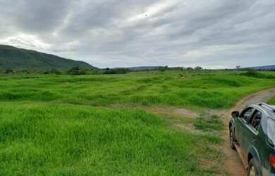 Imagem 2: Fazenda 755 hectares. 755m² de Área