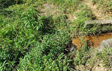 Imagem 7: Fazenda/Sítio/Chácara para venda possui 19 hectares Zona Rural - Caranaíba...