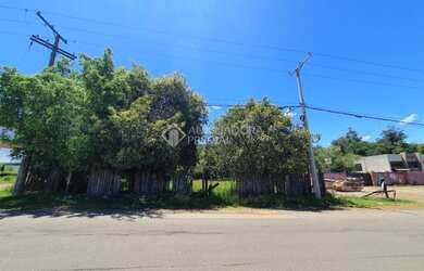 Imagem 3: NOVO HAMBURGO - Terreno Padrão - Alpes do Vale