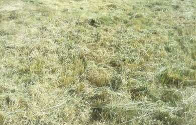 Imagem 6: Terreno Barra Mansa. 6.400m² de Área