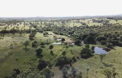 Imagem 9: Fazenda com 117 alqueires Região de Goiás Velho - GOIÁS