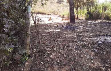 Imagem 9: vendo ou financio lote 444 metros em Juatuba bairro Dona Francisca