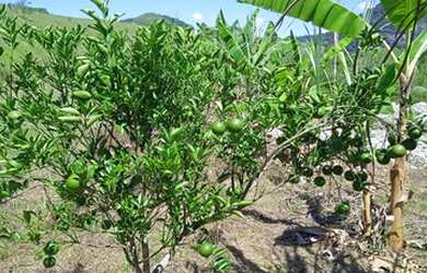 Imagem: O terreno possui 1.000m² de Área e está localizado em Cantagalo