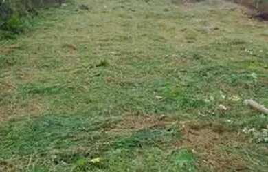 Imagem 5: Terreno à venda, 1527 m² por R$ 95.000,00 - Barbosa - Alvorada do Sul/PR