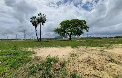 Imagem 3: Lote Park Maracanau. 250m² de Área