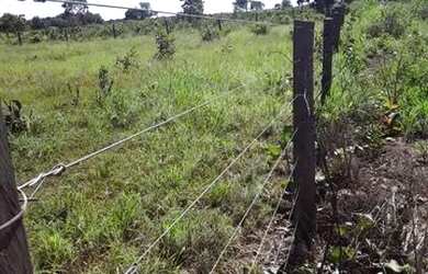 Imagem 3: Fazenda. 289m² de Área