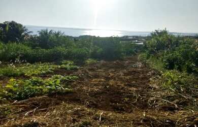 Imagem 2: Terreno à venda, 1527 m² por R$ 95.000,00 - Barbosa - Alvorada do Sul/PR