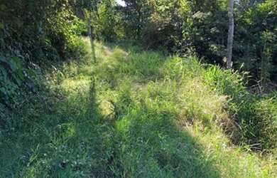 Imagem 2: Chácara na ERS 452 - Vale Real - RS