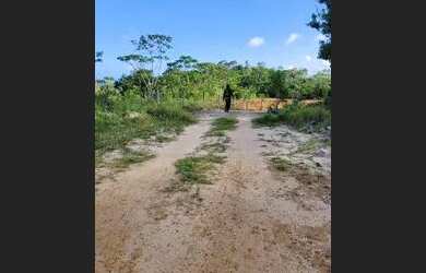 Imagem 2: Terreno na praia da sereia