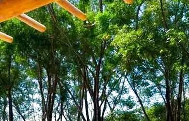 Imagem 7: Imóvel para venda com 135 metros quadrados com 3 quartos em Açu da Torre - Mata de São Joã