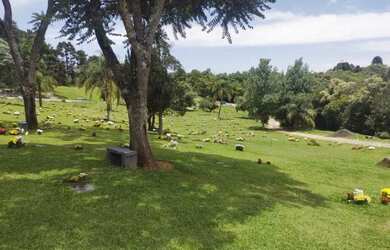 Imagem: O terreno está localizado em Barreirinha, Curitiba à venda