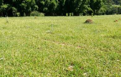 Imagem 2: 32R-Lote/Terreno para venda possui 500 metros quadrados em Jardim Brasil...
