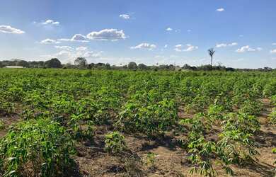 Imagem: Excelente Área com 4,47 hectares 13km de Porto Velho, sentido