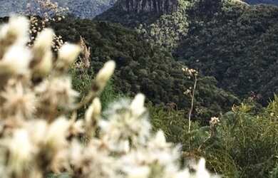 Imagem 7: Urubici - vista espetacular