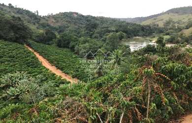 Imagem: A fazenda possui 22m² de Área e está localizado em Centro