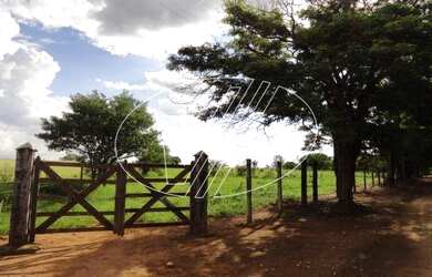 Imagem: O terreno possui 55.000m² de Área e está localizado em Vila