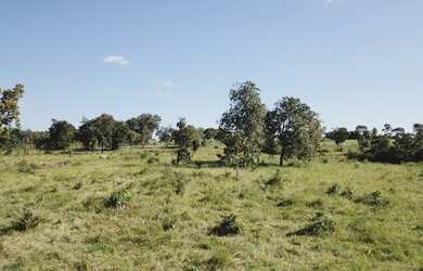 Imagem 7: Fazenda com 117 alqueires Região de Goiás Velho - GOIÁS