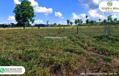 Imagem 4: SITIO 17 ALQUEIRES TODO FORMADO EM PASTO ANTES DE JACI PARANÁ