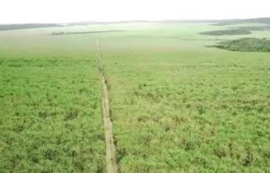 Imagem: A fazenda e está localizado em Centro, Castanhal à venda por