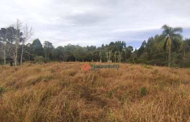 Imagem 7: Chácara à venda, 4,5 alqueires por R$ 520.000 - Guabiroba - Guarapuava/PR
