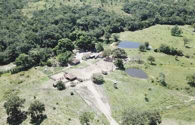 Imagem 5: Fazenda com 117 alqueires Região de Goiás Velho - GOIÁS