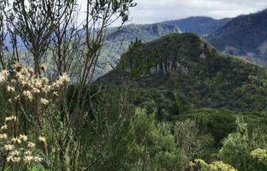 Imagem: O terreno possui 20.000m² de Área e está localizado em Urubici