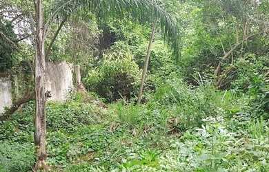 Imagem 11: Terreno na Freguesia Jacarepaguá - Rio De Janeiro/RJ