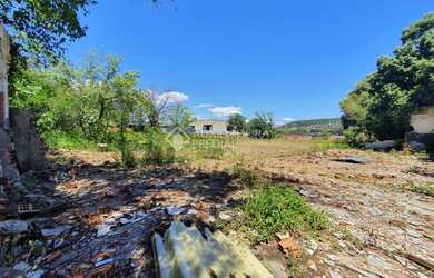 Imagem 8: NOVO HAMBURGO - Terreno Padrão - Alpes do Vale