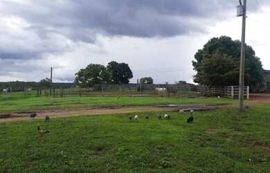 Imagem 11: . Uma Fazenda 110 alqueires 67 km de Porto Nacional