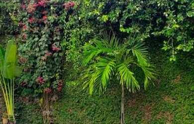 Imagem 13: Casa à venda Greenwood Park, Itanhangá, Barra da Tijuca, 3 Quartos