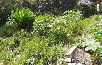 Imagem 1: Venda Commercial / Land Lot Santa Luzia MG