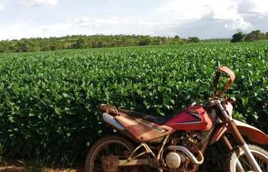 Imagem 4: .Uma excelente Fazenda 115 alqueires 48 km de Santa Maria To 3