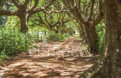 Imagem: O terreno possui 840m² de Área e está localizado em Santa