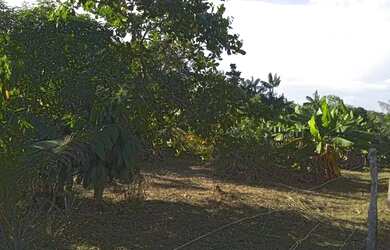 Imagem 4: Vendo terreno 15 50 ou troco por casa no Iranduba 50mil