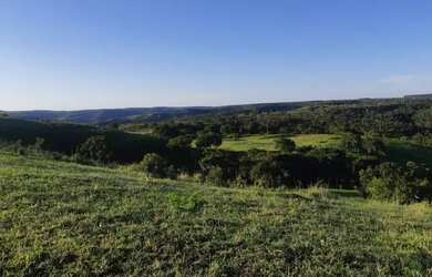 Imagem 3: . Uma Fazenda 110 alqueires 67 km de Porto Nacional