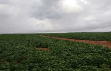 Imagem 11: Fazenda c/ 720he, sendo 500he em lavoura, Município de Rondonópolis-MT