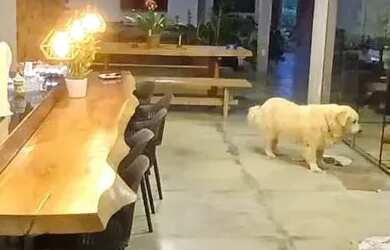 Imagem 14: Casa para venda possui com 4 quartos em Estância Alpina - Nova Lima -...