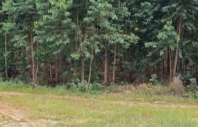 Imagem 7: Vende-se uma excelente fazenda de 226 hectares