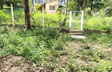 Imagem 11: SÍTIO EM JURAMENTO BEM PRÓXIMO Á MONTES CLAROS-MG