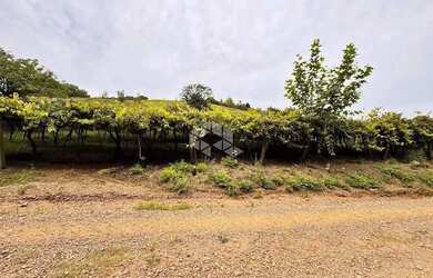 Imagem 7: Propriedade Rural com produção de Uvas e uma casa de Mista