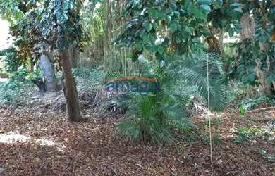 Imagem 16: Terreno c/ 1.000m2 no centro de Jacareí