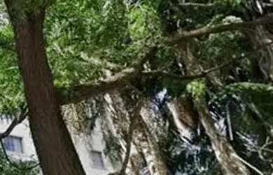 Imagem 14: Venda Apartamento 2 Dormitórios - 72 m² Campo Belo