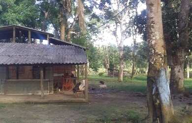 Imagem: A fazenda está localizado em Santa Luzia do Pacuí, Macapá