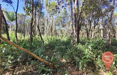 Imagem 6: Terreno à venda, 2000 m² por R$ 130.000 - Retiro do Brumado - Brumadinho/Minas Gerais
