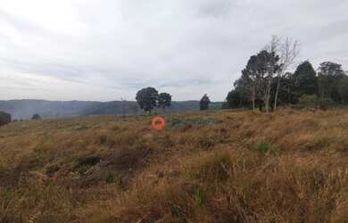 Imagem 8: Chácara à venda, 4,5 alqueires por R$ 520.000 - Guabiroba - Guarapuava/PR