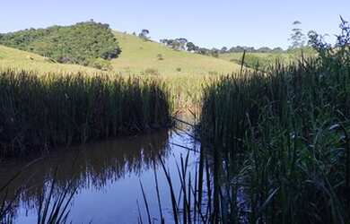 Imagem 4: Fazenda/Sítio/Chácara para venda possui 19 hectares Zona Rural - Caranaíba...