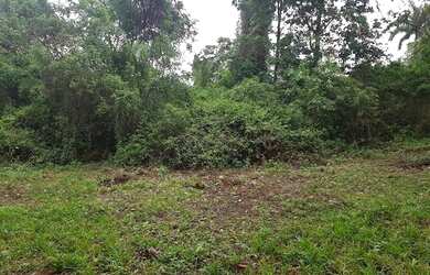 Imagem 8: Terreno na Freguesia Jacarepaguá - Rio De Janeiro/RJ