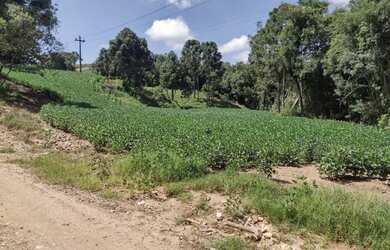 Imagem: O terreno possui 2.700m² de Área e está localizado em Cidade